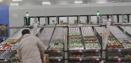 数智驱动,转型有 力 食品工业智能物流解决方案