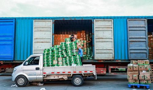 电商扎堆爱心助农,淘宝拔得头筹做对了什么