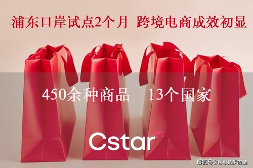 管控再加强 近期出口投资印度要注意风险,尤其我国出口的铜 皮革制品 能源电力产品等