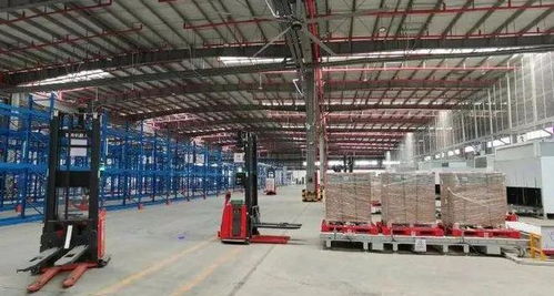 一带一路 这十年 空中丝路 河南力量